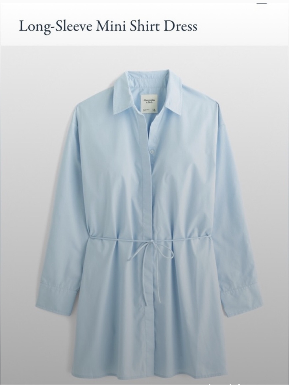 Abercrombie & Fitch Light Blue Long-Sleeve Mini Shirt Dress